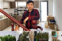Vĩnh Long: Thu giữ hàng trăm cây cần sa được trồng trong chậu
