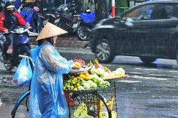 Chiều nay miền Bắc chuyển mưa dông, cảnh báo lốc sét nhiều khu vực