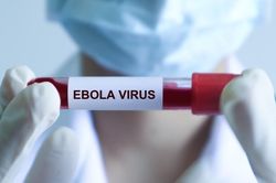 WHO cảnh báo khẩn cấp dịch Ebola, Bộ Y tế ra thông báo mới
