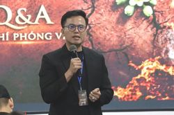 Gần 1.200 hồ sơ thử vai phim về anh hùng Võ Thị Sáu