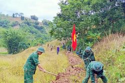 Tuổi trẻ Biên phòng TP. Huế ra quân thứ Bảy tình nguyện, Chủ nhật xanh