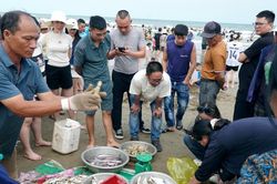 Du khách thích thú mua hải sản tươi rói ở làng chài ven biển Sầm Sơn