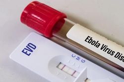WHO cảnh báo khẩn về dịch Ebola, Bộ Y tế Việt Nam ra khuyến cáo