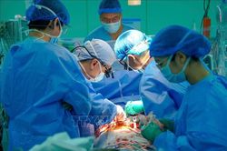 TP Hồ Chí Minh: Liên tục thực hiện ghép tim cứu sống người bệnh suy tim nặng