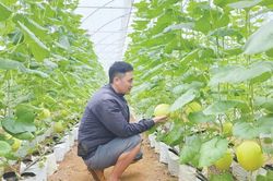 Nguyệt Ấn đưa nghị quyết của Đảng v&agrave;o cuộc sống