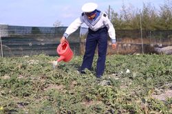 Màu xanh giữa trùng khơi