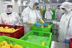 Khoa học, công nghệ là 'chìa khóa' chuyển đổi mô hình tăng trưởng nông nghiệp