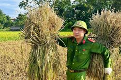 Công an Thanh Hóa xuống đồng giúp dân mùa gặt