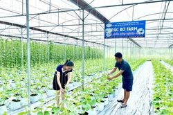 Quỹ hỗ trợ nông dân - động lực thúc đẩy kinh tế nông thôn bền vững