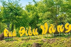 Thành phố Đồng Nai thành lập Ban Tổ chức Lễ hội Quả điều vàng năm 2026