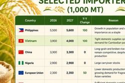 Mỹ dự báo Việt Nam nhập khẩu gạo nhiều hơn cả Trung Quốc, tiếp tục xếp thứ 2 thế giới