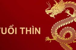 Tuần mới, tuổi Thìn gặp vận may bất ngờ, 2 con giáp khác không kém cạnh
