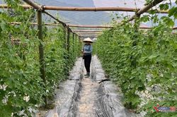 Hà Tĩnh tăng cường truyền thông về khoa học công nghệ, giảm nghèo thông tin