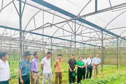 L&agrave;o Cai ch&uacute; trọng giảm ngh&egrave;o th&ocirc;ng tin, ph&aacute;t triển n&ocirc;ng th&ocirc;n to&agrave;n diện