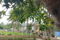 Nghi án bố đẻ đâm con trai tử vong trong lúc giằng co