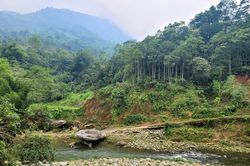 Tấm chân tình núi rừng Sải Duần