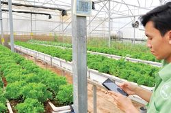 Vì sao startup Việt dễ 'đứt gánh giữa đường'?