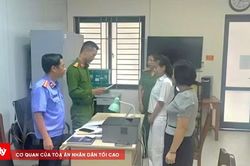 Thanh Hóa: Bắt nữ Giám đốc nhà xe Vân Anh vì trốn thuế hơn 34,6 tỷ đồng