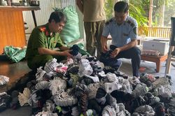 Bất ngờ kiểm tra hộ kinh doanh ở Hà Nội, lộ hơn 5.000 sản phẩm 'nhái' thương hiệu Puma, Adidas, Nike