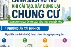 [Infographic] Hà Nội đề xuất 4 hình thức tái định cư khi cải tạo chung cư cũ
