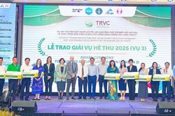 Sản xuất lúa giảm phát thải, 10 đơn vị được trao thưởng