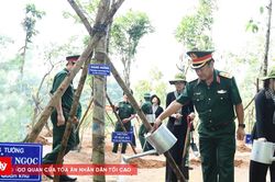 TP.HCM hưởng ứng Tết trồng cây nhớ ơn Bác Hồ