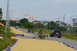 Cảnh tượng gây 'nhức mắt' trên đường, tài xế ô tô thấp thỏm lo va chạm