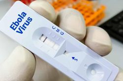 TPHCM tăng cường giám sát cửa khẩu ngăn chặn nguy cơ dịch Ebola xâm nhập