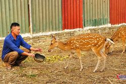 Đẩy mạnh truyền thông giảm nghèo thông tin gắn với hỗ trợ phát triển sản xuất