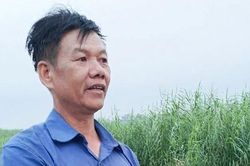 Người đưa 3 thi thể nam sinh lên bờ kể phút chết lặng dưới sông