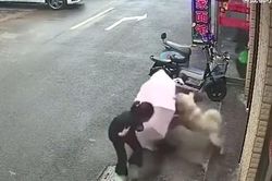 Thấy chó lạ nằm bên đường, người phụ nữ lại gần vuốt ve rồi bị cắn rách mặt