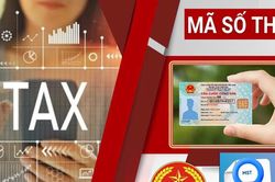 Quyết tâm làm sạch mã số thuế trong kinh doanh