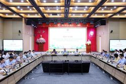 Tiếp tục rà soát văn bản quy phạm pháp luật để tránh chồng chéo, mâu thuẫn