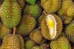 Giá sầu riêng hôm nay 19/5/2026: Xuất khẩu quý I tăng 230%