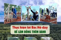 Thực hiện lời Bác Hồ dạy để Lâm Đồng thêm xanh