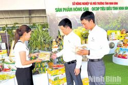 Khuyến công Ninh Bình - Động lực thúc đẩy công nghiệp nông thôn phát triển bền vững