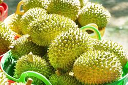 Sầu riêng rớt giá: Lối ra nào cho 'vua' trái cây?