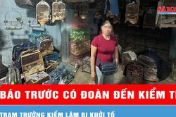 Báo trước có đoàn đến kiểm tra, trạm trưởng kiểm lâm bị khởi tố