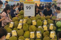 Thị trường sầu riêng và bài toán cung – cầu phía sau cơn sốt 'vua trái cây'