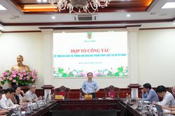 Triển khai nhiệm vụ tổng r&agrave; so&aacute;t văn bản quy phạm ph&aacute;p luật tại Bộ Tư ph&aacute;p nghi&ecirc;m t&uacute;c, thực chất, hiệu quả
