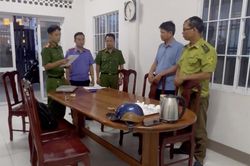 Trạm trưởng kiểm lâm Vũng Tàu 'mật báo' cho chủ cơ sở vi phạm trước khi kiểm tra