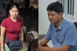 Phát hiện tại một kho cất giấu 433 cá thể động vật hoang dã không rõ nguồn gốc