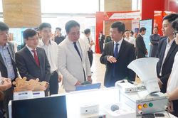 Huế mở rộng 'đất diễn' cho startup công nghệ và doanh nghiệp đổi mới sáng tạo