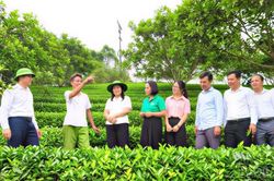 Vươn l&ecirc;n l&agrave;m gi&agrave;u, x&acirc;y dựng qu&ecirc; hương hạnh ph&uacute;c