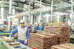Chuyển đổi sang bền vững - thách thức lớn nhất của ngành xuất khẩu gỗ Việt