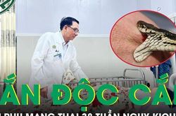 Bị rắn hổ mang cắn, sản phụ mang thai 38 tuần nguy kịch nhập viện khẩn