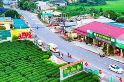 Dự thảo Nghị định Quy định tổ chức, hoạt động của thôn, tổ dân phố; chính sách đối với người hoạt động không chuyên trách ở thôn, tổ dân phố