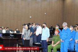 Cựu Bộ trưởng Nguyễn Thị Kim Tiến: 'Câu hỏi chạm đúng nỗi đau'