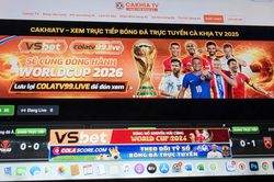 Khởi tố 23 đối tượng trong đường d&acirc;y x&acirc;m phạm bản quyền b&oacute;ng đ&aacute; quy m&ocirc; lớn