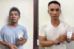 Bắc Ninh: Khởi tố 2 đối tượng chuyên cắt trộm dây cáp điện